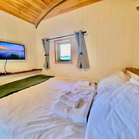 Romantic Nature Retreat, Luxury Glamping & Stargazing Views - Dragonfly Shepherd Hut Yarpole Екстериор снимка